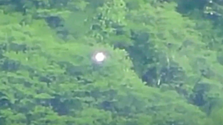 На видео сняли странный светящийся шар, парящий над лесом в Мексике