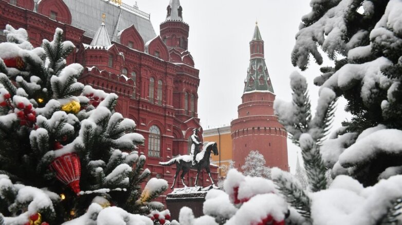Главную новогоднюю елку России доставят в Москву