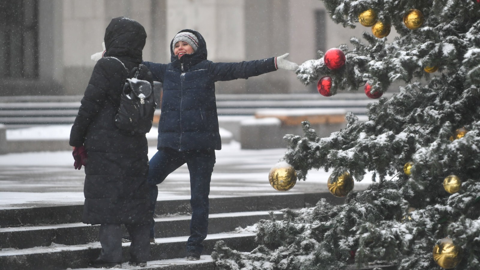 Новый год продлили. России декабрь 31. Елка зимой и люди вокруг во дворе.