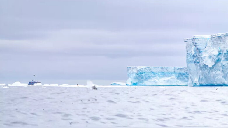 Самый большой в мире айсберг раскололся на четыре части