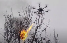 В Китае начали войну с осами с помощью огнеметного дрона: видео