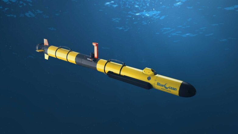 ВМФ США ждет предложений по проекту крупнейшего подводного дрона Snakehead
