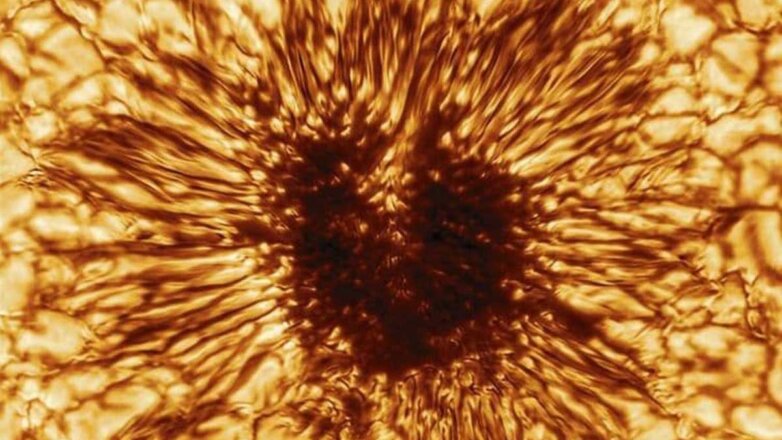 Астрономы получили самое детальное изображение Солнца