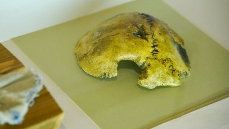 Фрагмент черепа Гитлера показали москвичам как вещественное доказательство