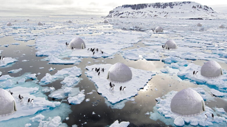 Архитектор предложил проект, спасающий пингвинов от потепления