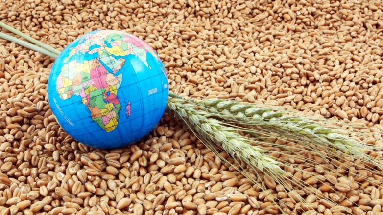 ООН призвала срочно решить вопрос с украинским зерном во избежание голода