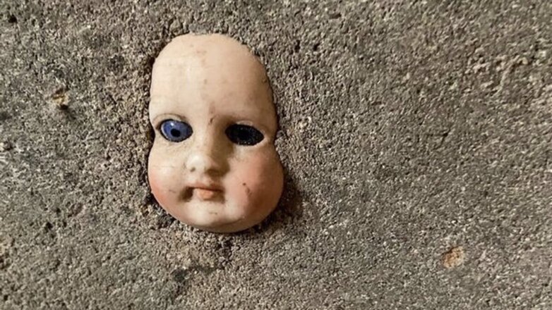 Американка нашла "голову" в подвале нового дома и поделилась снимком