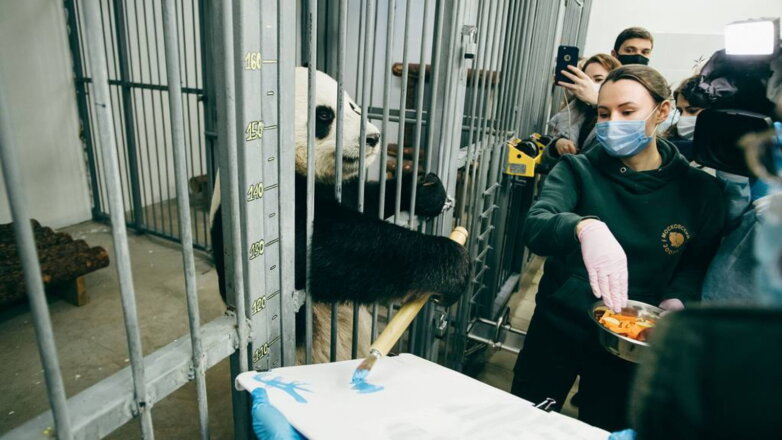 Путин исполнил желание тяжелобольного мальчика панда