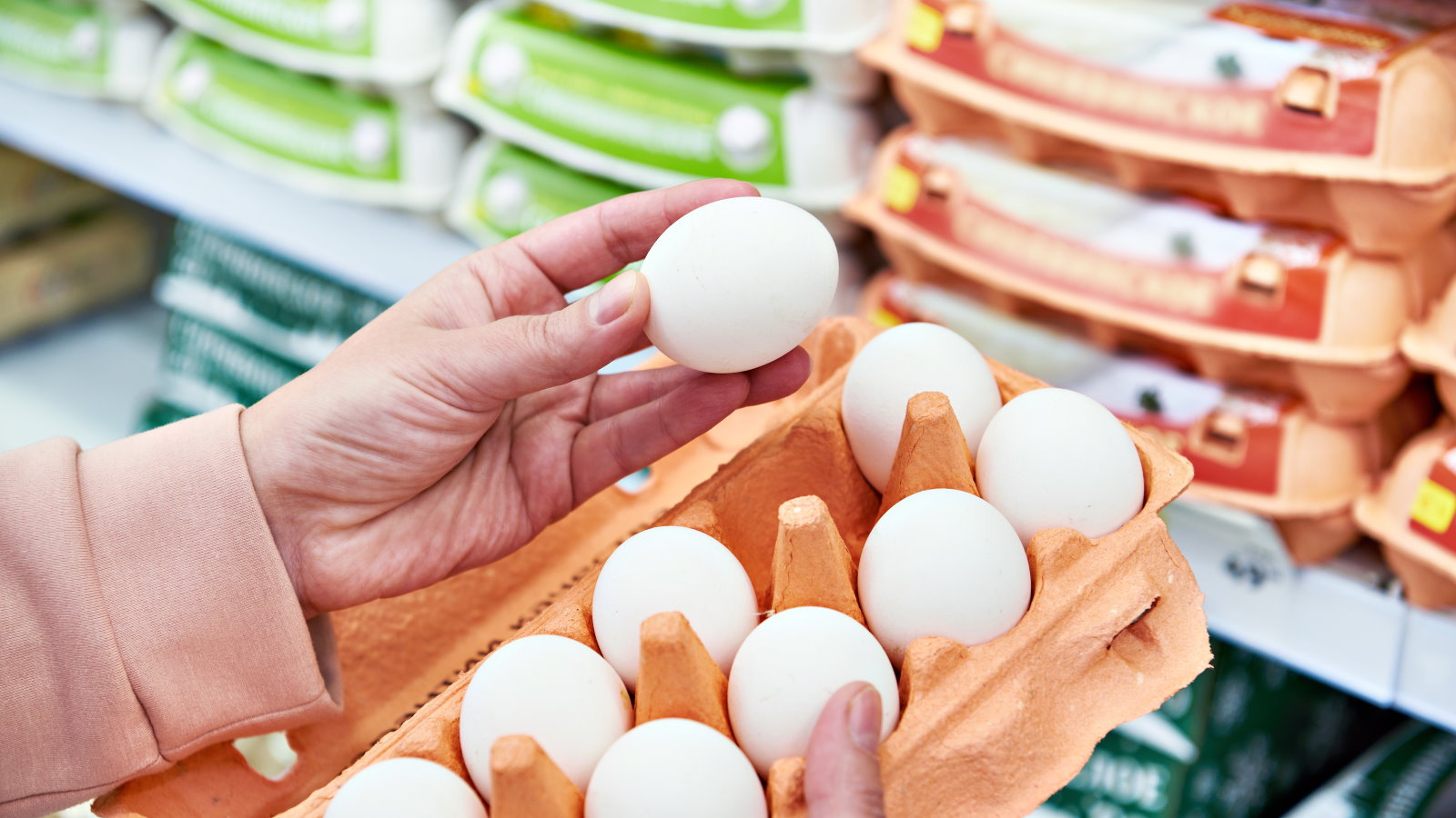 СМИ: цены на яйца и птицу могут вырасти в России