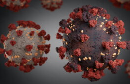 Новый штамм коронавируса впервые выявили в Европе