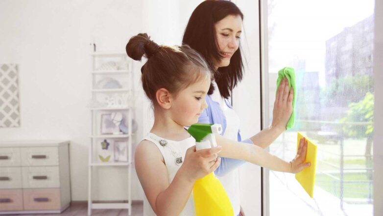 Названы способы облегчить мытье окон в квартире