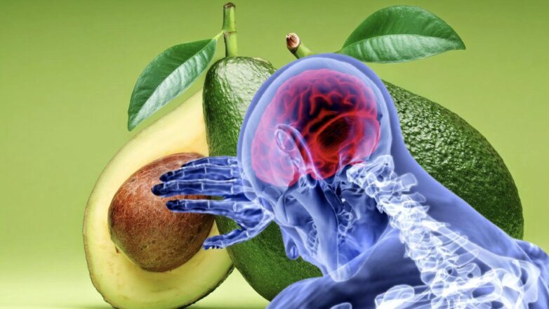 Неожиданную пользу авокадо назвали врачи