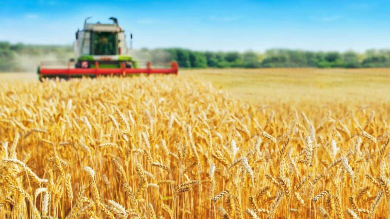 С 1 марта в России вырастут вдвое пошлины на экспорт пшеницы