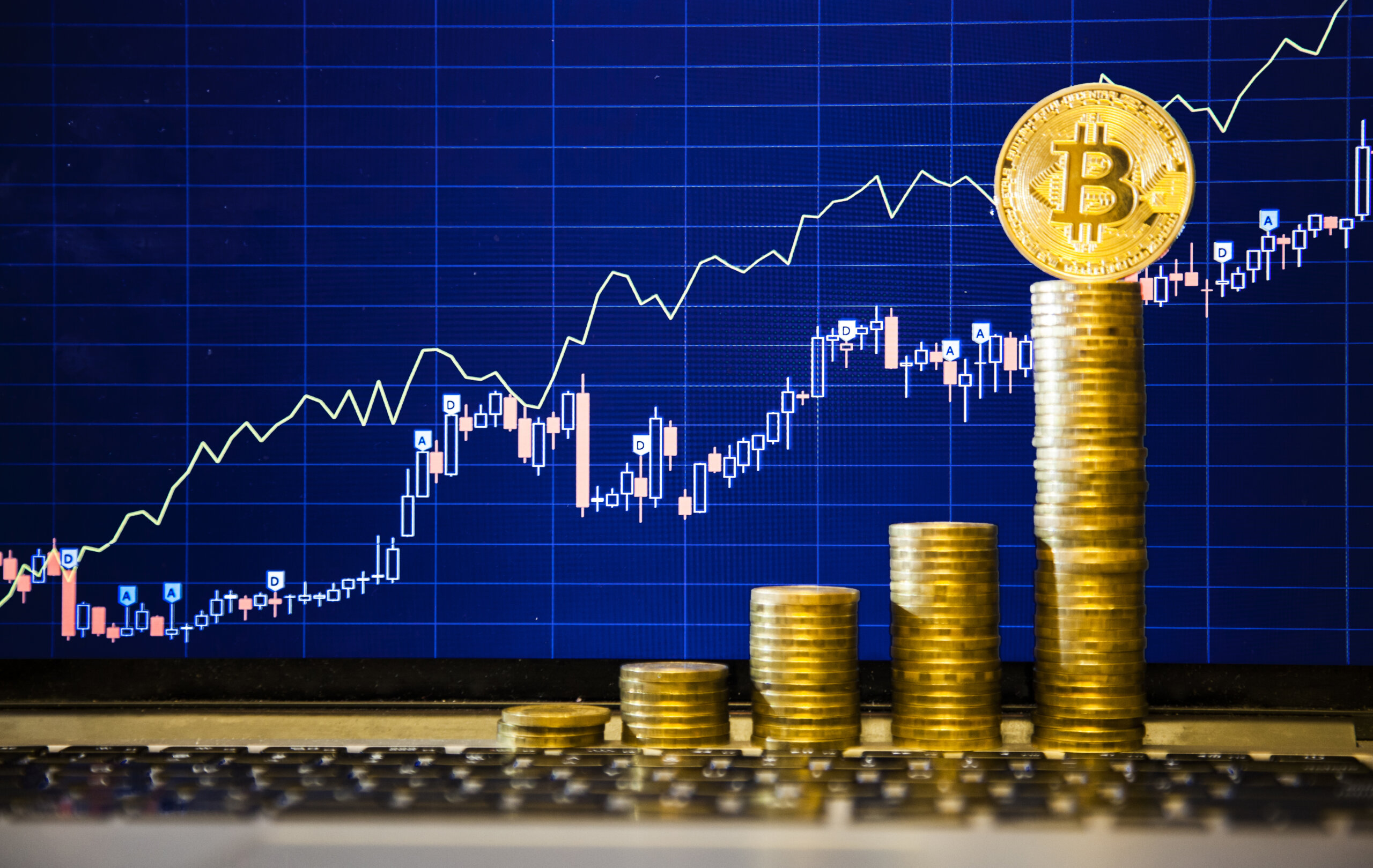 Курс роста биткоинов bitcoin cash back on coinvase