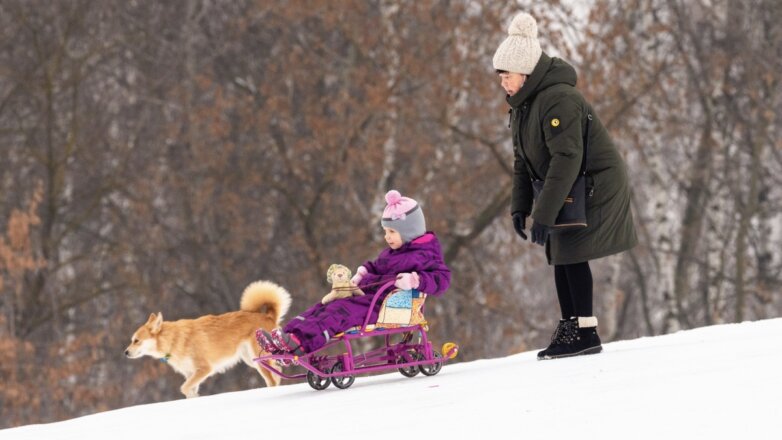 В Москве 20 января продолжится потепление
