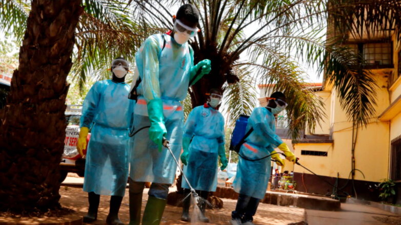 В Гвинее выявили смертельную лихорадку Марбург, от которой нет лекарств