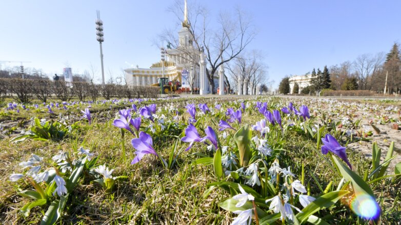 Синоптик рассказал, когда в Москве наступит климатическая весна