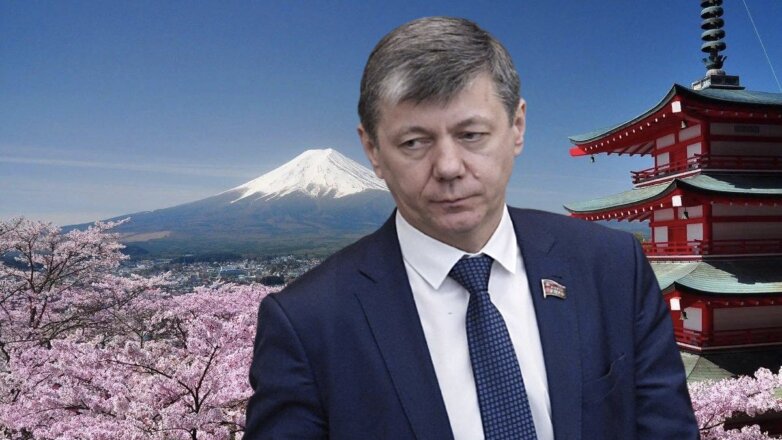 Депутат назвал преграду для заключения мирного договора с Японией