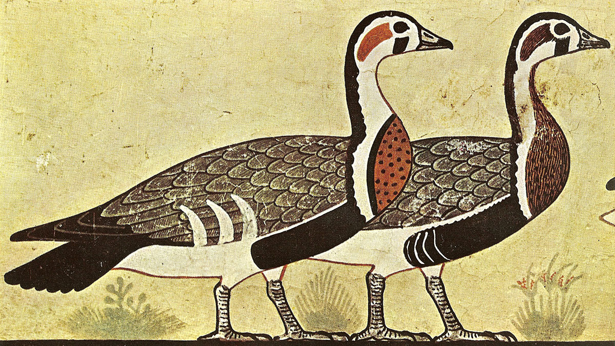 Археологи обнаружили неизвестный вид гуся на картине Древнего Египта
