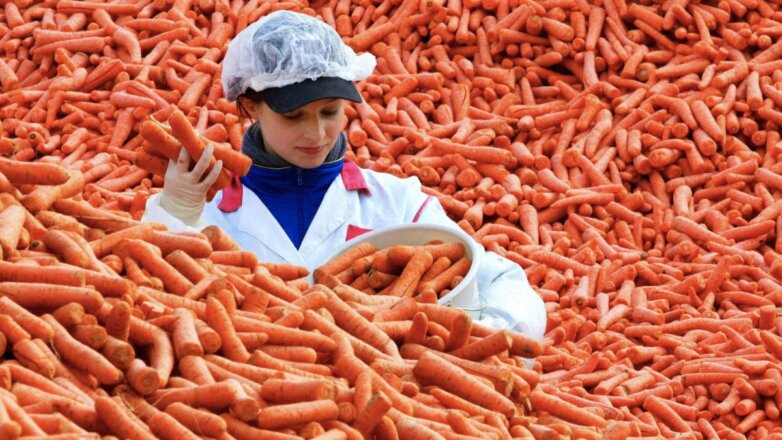 В России подорожали морковь и картофель