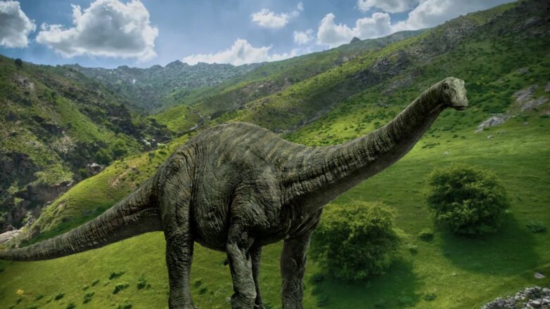 Новый вид динозавра-гиганта найден в Узбекистане