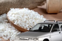 Названы три полезных свойства рисовой крупы для автомобиля