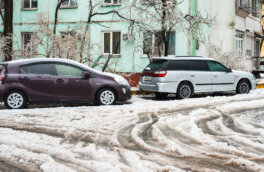 1 января в Москве и области ожидаются оттепель, мокрый снег и порывы ветра