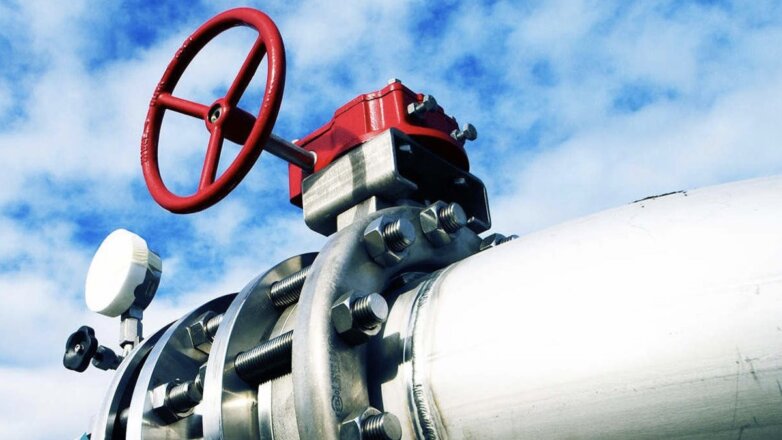 В Польше обеспокоились "перекрытием нефтяного вентиля из России"