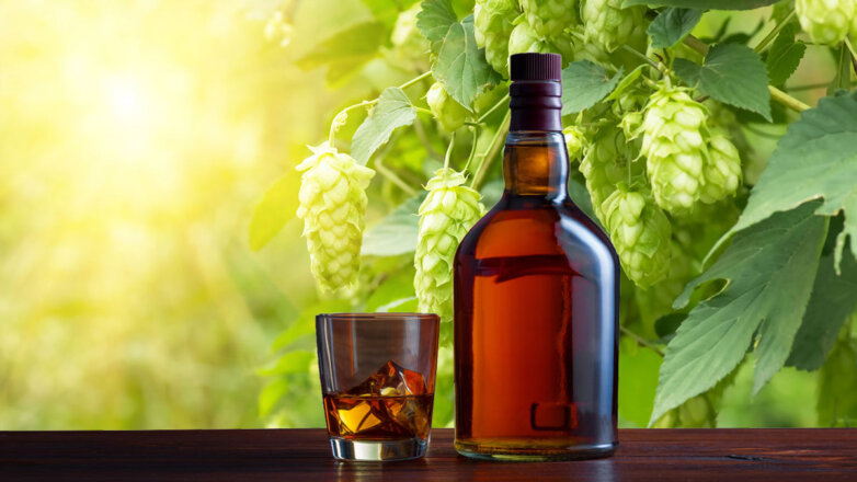 Ученые выяснили, что погода и почва влияют на вкус виски