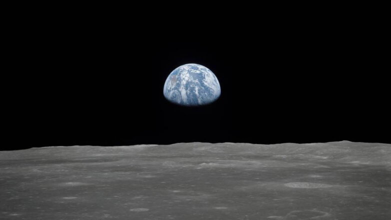 Ученые хотят сохранить на Луне ДНК 6,7 миллиона земных видов