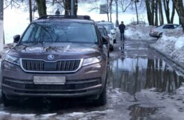 Водителям рассказали, почему не стоит парковать автомобиль в луже