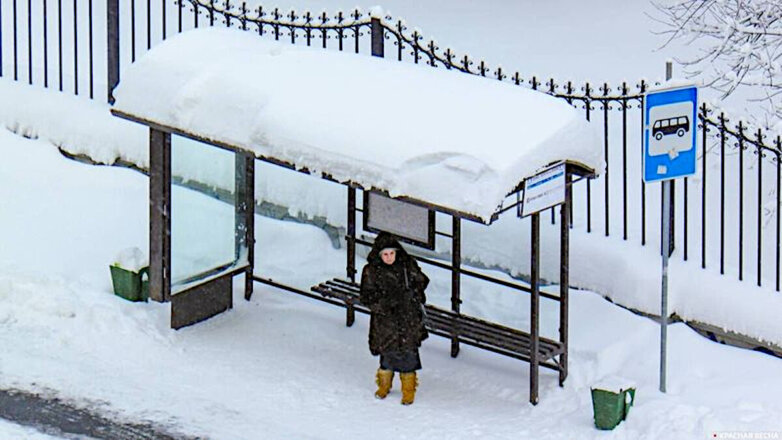 "Нервозность климата": погодные аномалии этой зимой обещают россиянам