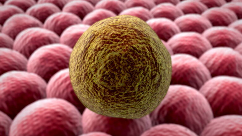 Ученые распознали самые опасные мутационные раковые клетки