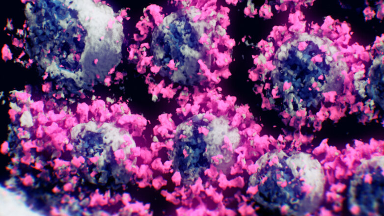 Ученые обнаружили почти неуязвимые варианты коронавируса