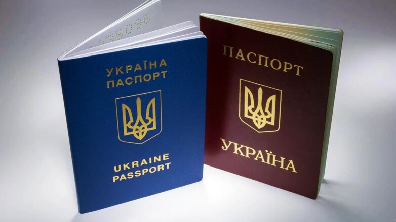 На Украине рассказали, с какой страной не будет двойного гражданства