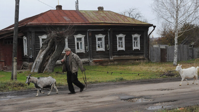 Почему инвестиции не могут остановить разрушение российской деревни