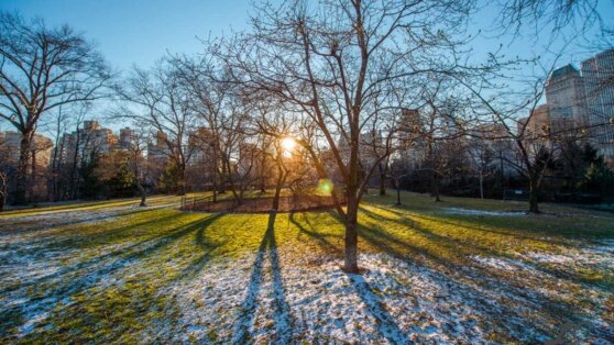 В Гидрометцентре рассказали, когда придет потепление