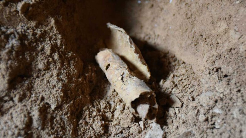 Новые библейские свитки найдены в "Пещере ужаса" в Израиле