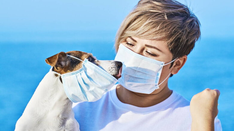 Как часто хозяева передают собакам коронавирус, выяснили ученые