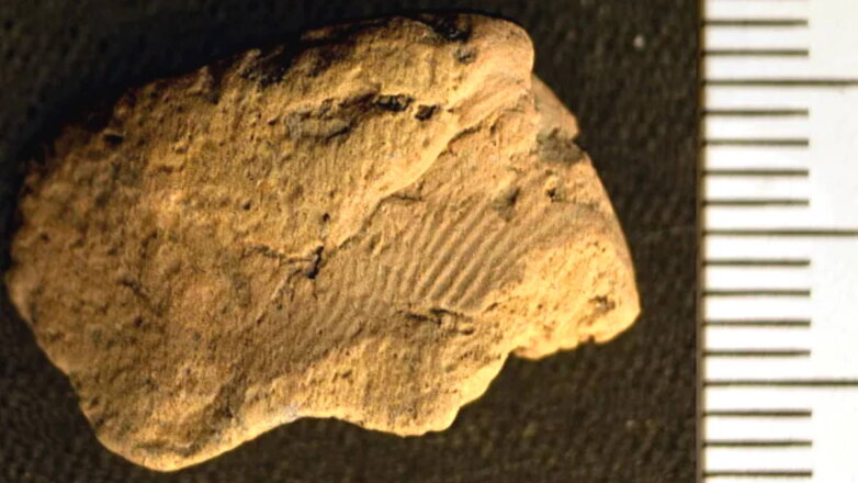Отпечаток пальца возрастом 5 тыс. лет обнаружили в Шотландии