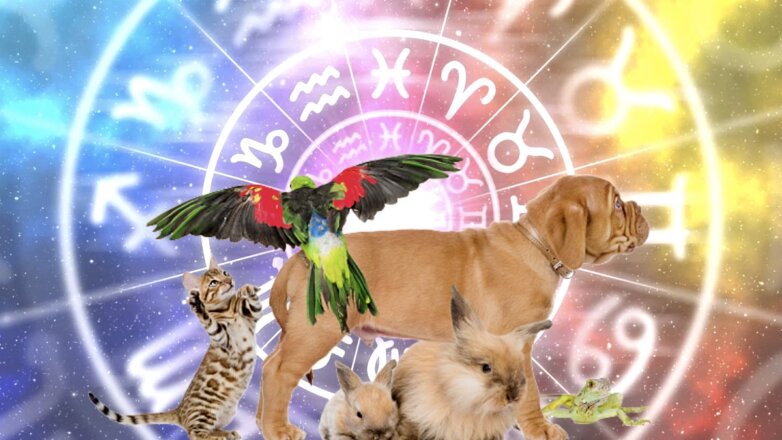 Какие животные идеально подходят каждому знаку зодиака, раскрыли астрологи
