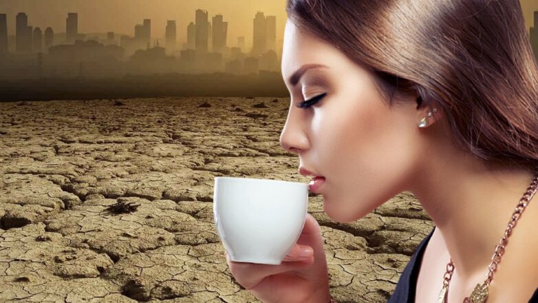 Производство элитных сортов кофе может пострадать от изменений климата