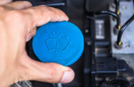 Вода не справится: необходимость летней "омывайки" объяснили водителям