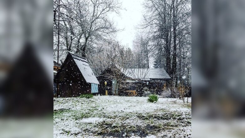 В Москве и области пошел снег
