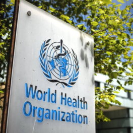 ВОЗ: глобальный договор о пандемии будет заключен к 2025 году