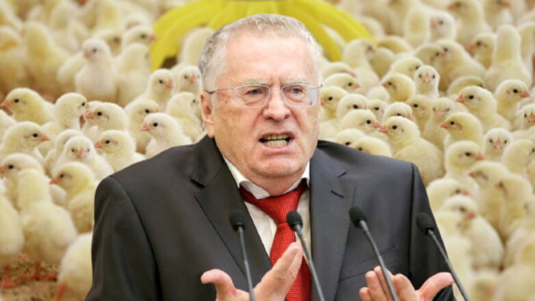 Жириновский обвинил Германию в сексизме из-за цыплят
