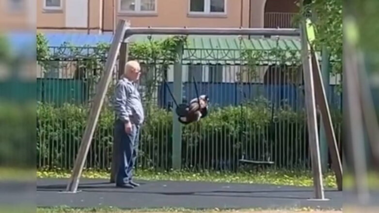 Видео с котом на качелях поразило пользователей сети