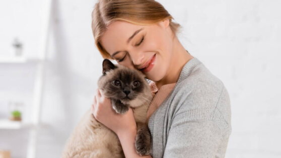 Как понять, что кошка любит хозяина: специалисты назвали 8 признаков