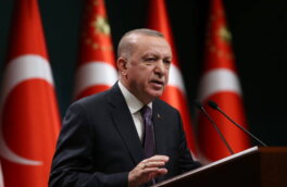 Эрдоган "проклял" правительство Австрии из-за израильского флага