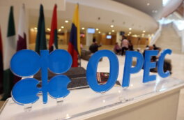 Стала известна единственная тема обсуждения на специальной встрече стран ОПЕК 3 января